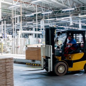 Fri/Sat LF  Forklift Lic TLILIC0003